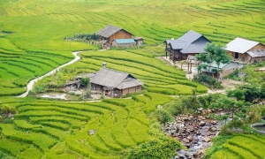 SAPA TREKKING 2 DAYS 1 NIGHT – HOMESTAY