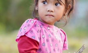 SAPA TREKKING 2 DAYS 1 NIGHT – HOMESTAY