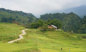 THE SAPA EXPERIENCE 3D2N – HOMESTAY & HOTEL