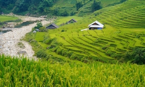 THE SAPA EXPERIENCE 3D2N – HOMESTAY & HOTEL