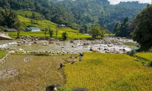 SAPA VILLAGES TREKKING 2N2D – HOMESTAY