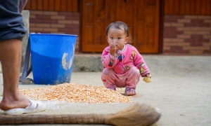 THE SAPA EXPERIENCE 3D2N – HOMESTAY & HOTEL
