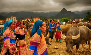 BAC HA MARKET DAY TRIP – SUNDAY ONLY FROM SAPA