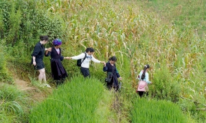 SAPA VILLAGES TREKKING 2N2D – HOMESTAY