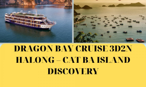 DRAGON BAY CRUISE 3D2N HALONG – CAT BA ISLAND DISCOVERY