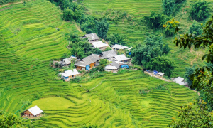 SAPA TREKKING 2 DAYS 1 NIGHT – HOMESTAY