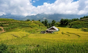 SAPA VILLAGES TREKKING 2N2D – HOMESTAY