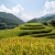 THE SAPA EXPERIENCE 3D2N – HOMESTAY & HOTEL