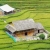 THE SAPA EXPERIENCE 3D2N – HOMESTAY & HOTEL