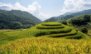 SAPA VILLAGES TREKKING 2N2D – HOMESTAY