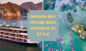 DRAGON BAY CRUISE 3D2N CRUISING IN STYLE