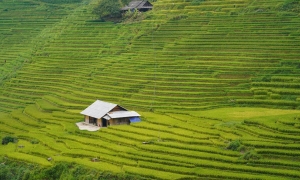 SAPA VILLAGES TREKKING 2N2D – HOMESTAY