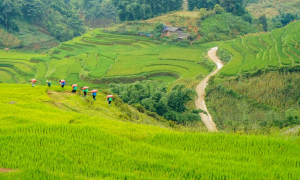SAPA VILLAGES TREKKING 2N2D – HOMESTAY