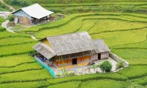 SAPA TREKKING 2 DAYS 1 NIGHT – HOMESTAY