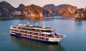 DRAGON BAY CRUISE 3D2N CRUISING IN STYLE