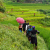 SAPA VILLAGES TREKKING 2N2D – HOMESTAY