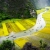 HOA LU - TAM COC - MUA CAVE 1 DAY TOUR