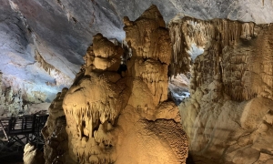 PARADISE CAVE - PHONG NHA CAVE 1 DAY TRIP
