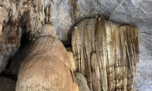 PARADISE CAVE - PHONG NHA CAVE 1 DAY TRIP