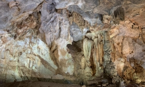 PARADISE CAVE - PHONG NHA CAVE 1 DAY TRIP