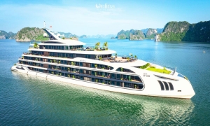 CELINA OF THE SEA  - 6-STAR CRUISE 2D1N LAN HA BAY